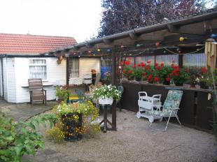 Patio Area