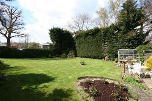 Rear Garden Alternate