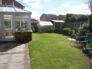 Garden 1