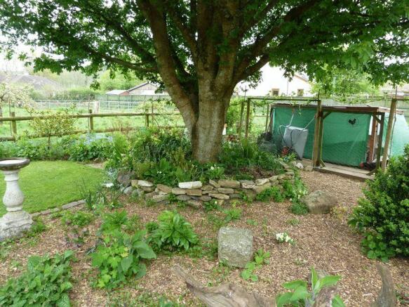 Wooded Area