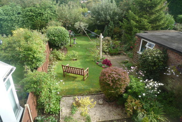 Photo 5