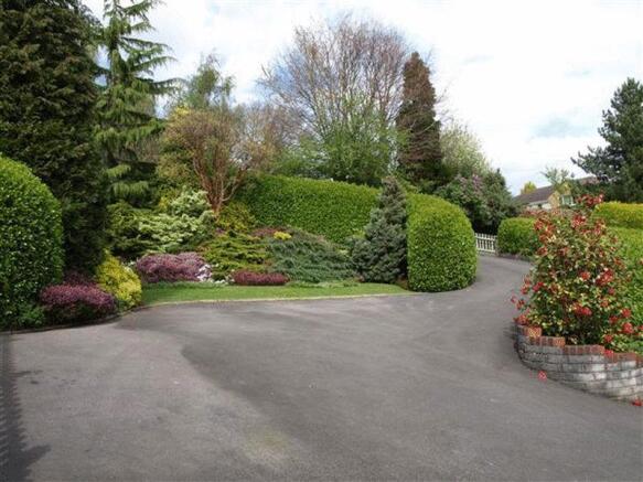 Driveway