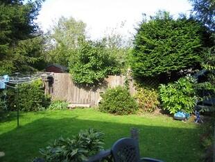 Garden Photo 2