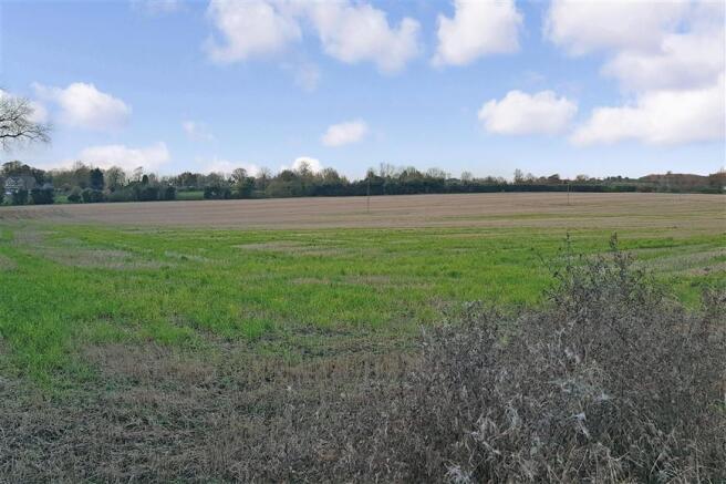 Surrounding Area