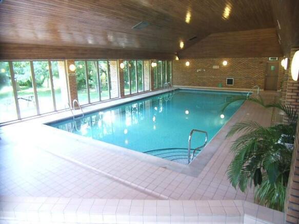 swimming pool.jpeg