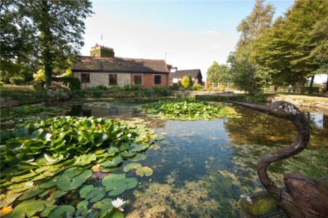Pond