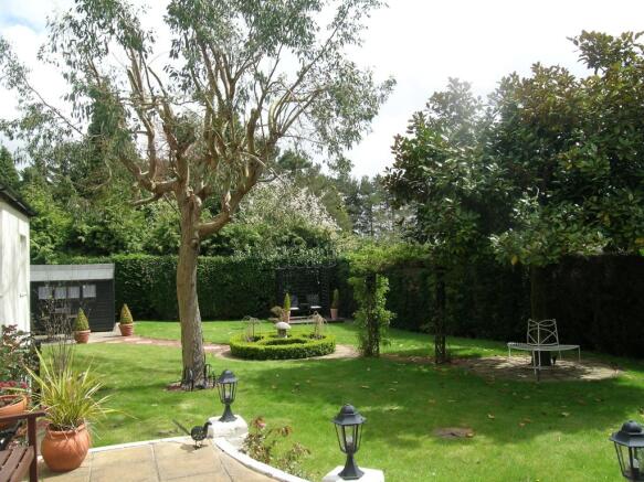 garden2