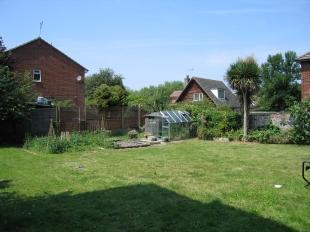 Rear Garden (2)