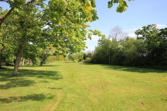 PADDOCK AND ORCHARD