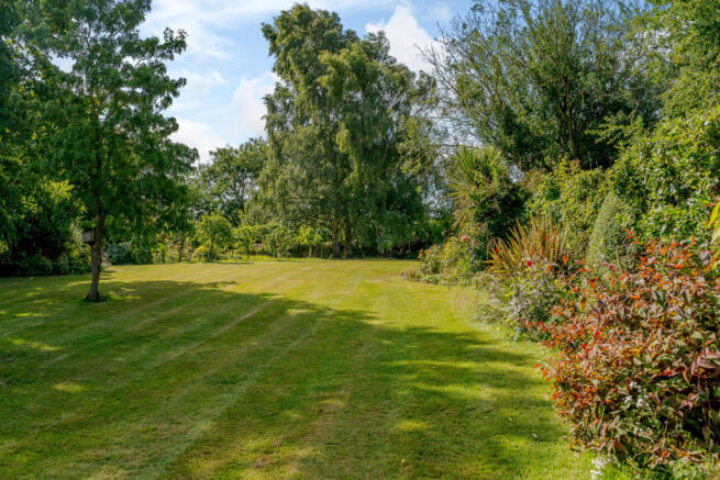 Lawn