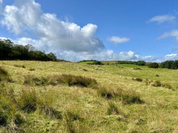 Langtoo Bank, Corsock, - Williamson and Henry