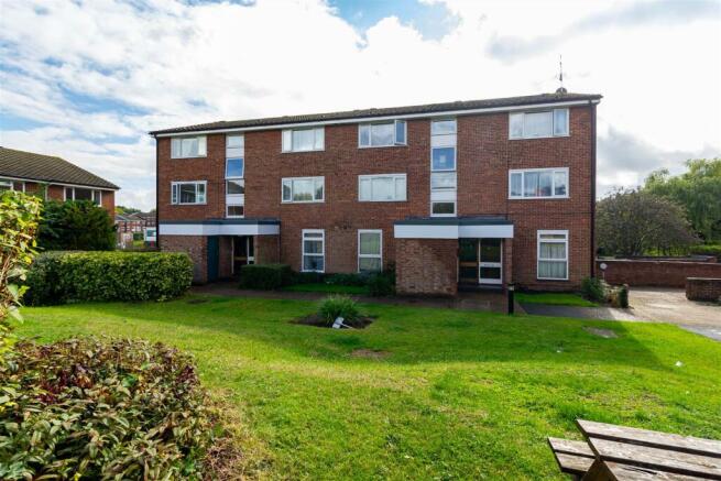 IMG_3653.jpg