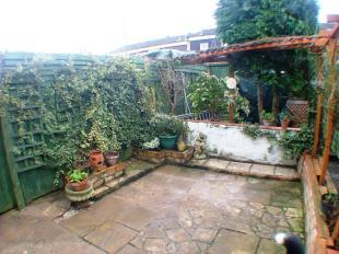 Garden View 2