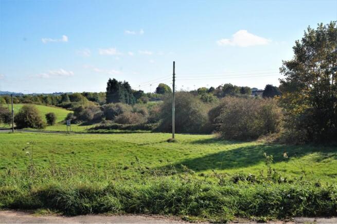 Surrounding Area