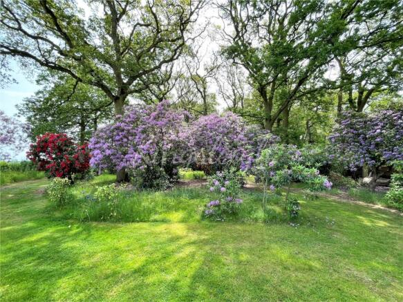 Grounds