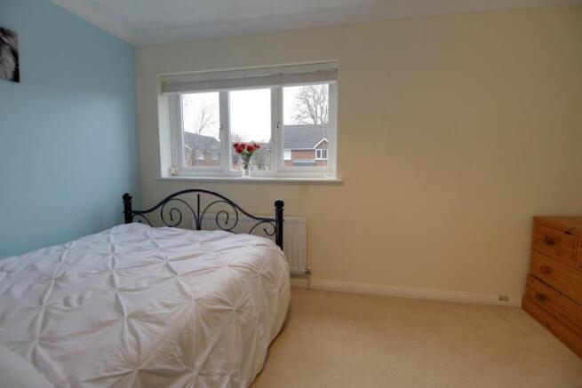 Picture 7