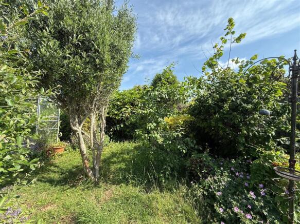 Rear Garden Area.JPG