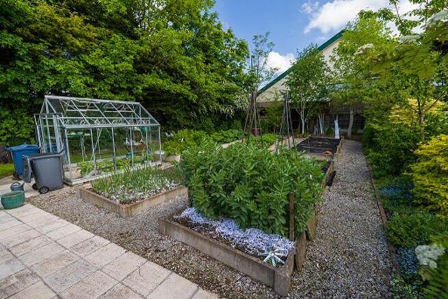 Vegetable Garden