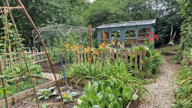 vegetable garden.jpg
