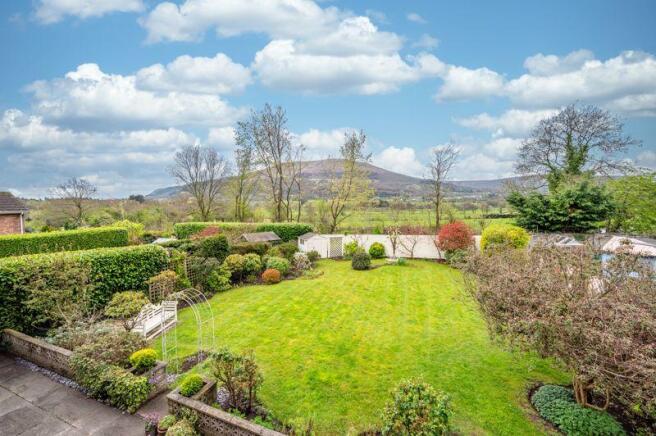 Garden / View