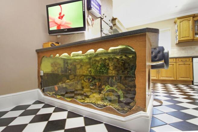 Fish Tank 
