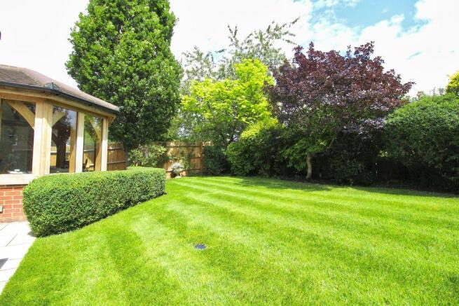 Garden at Back