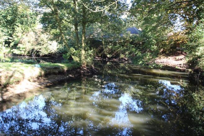 new pond