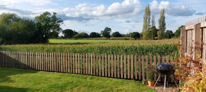 Views From Rear Garden