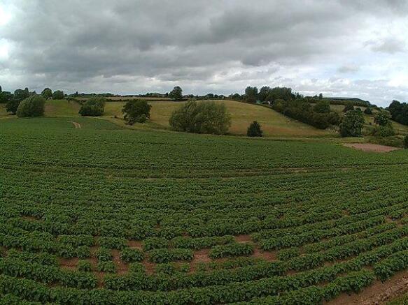 fields to the front