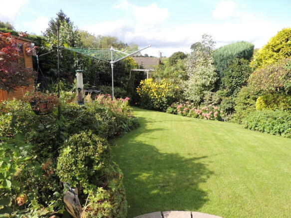 Photo 11