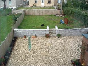 garden rear