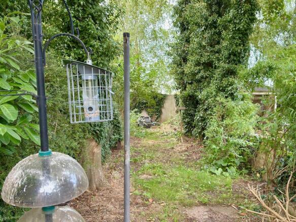 GARDEN BACK.jpg
