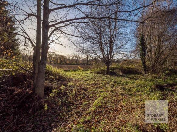Wooded View