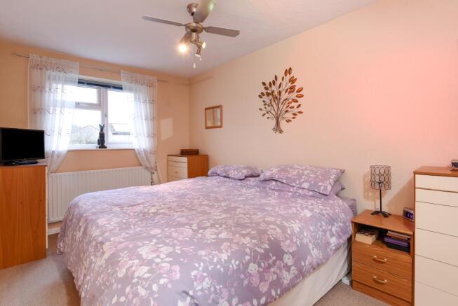 Photos