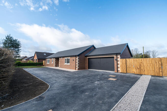 DSCF6246-HDR T202604101637.jpg