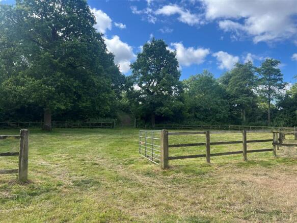 Bottom Field
