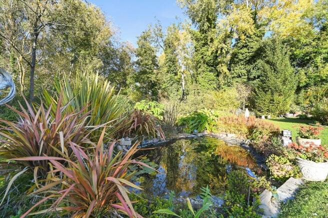 Natural Pond