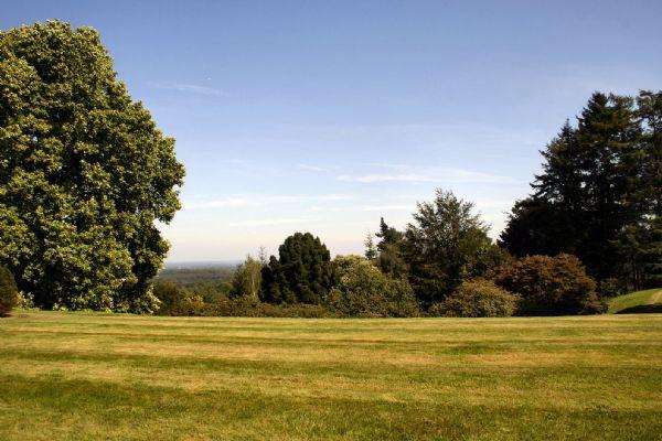 Grounds Looking East