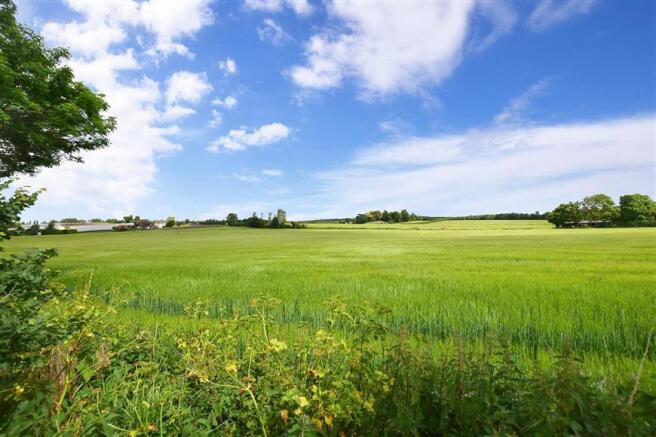 Surrounding Area