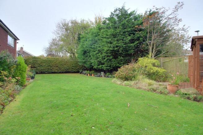 Garden at Back
