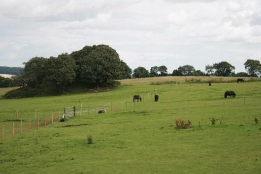 VIEW TO FRONT