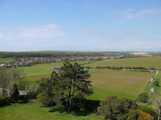 Panoramic View