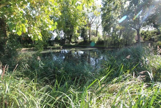 pond