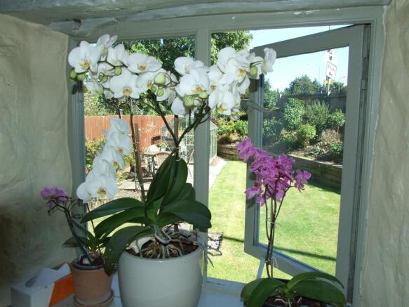 View to window