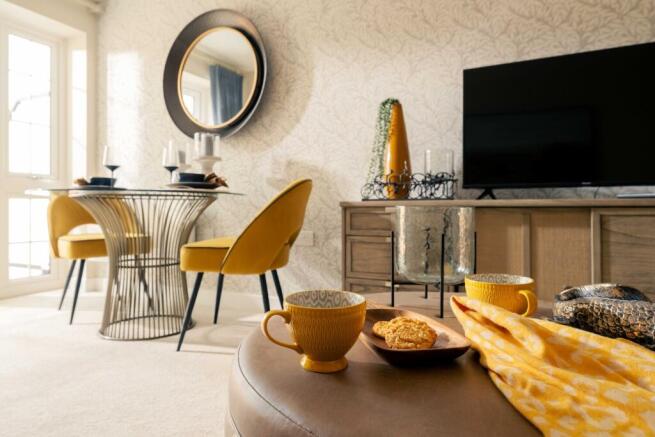 Show home living room