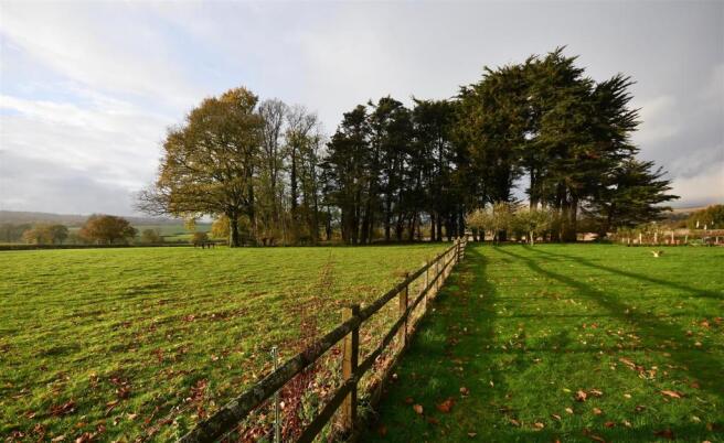 Lawn & Field