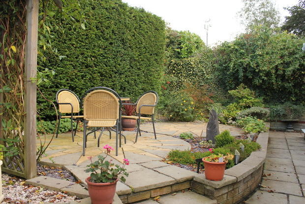 Photo 7