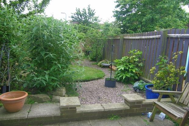 Photo 6
