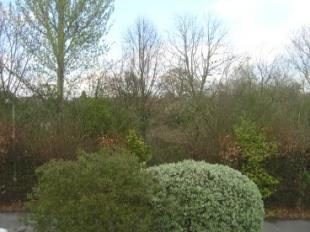 View to front