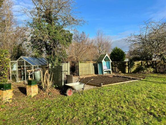 vegetable bed.jpg